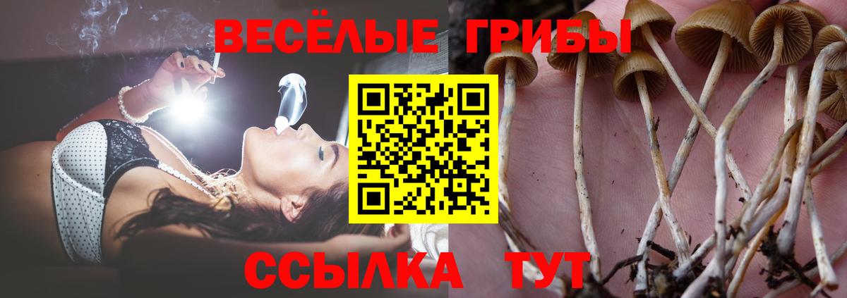 Усолье-Сибирское  что такое   Вход с VPN  Псилоцибиновые грибы MAGIC MUSHROOMS 